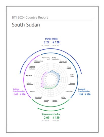 India South Sudan Business and Cultural Council - Report and Publication in BTI Country Report 2024